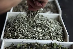 ПРОСУШИВАНИЕ