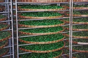 СМИНАНИЕ (Протряхивание)