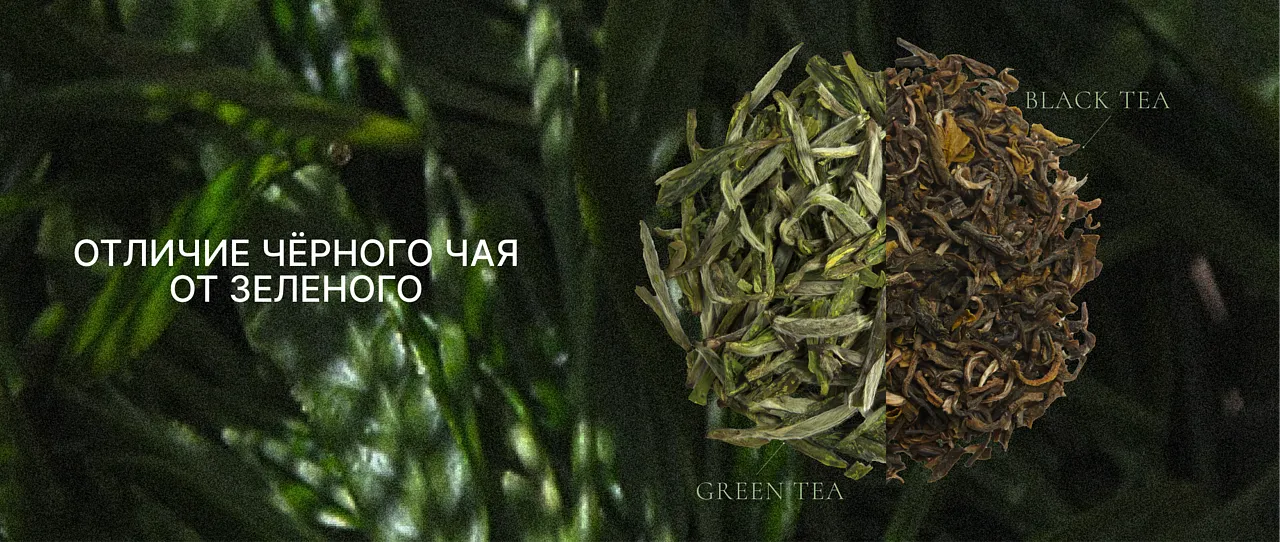 Вам чашечку черного или зеленого чая?