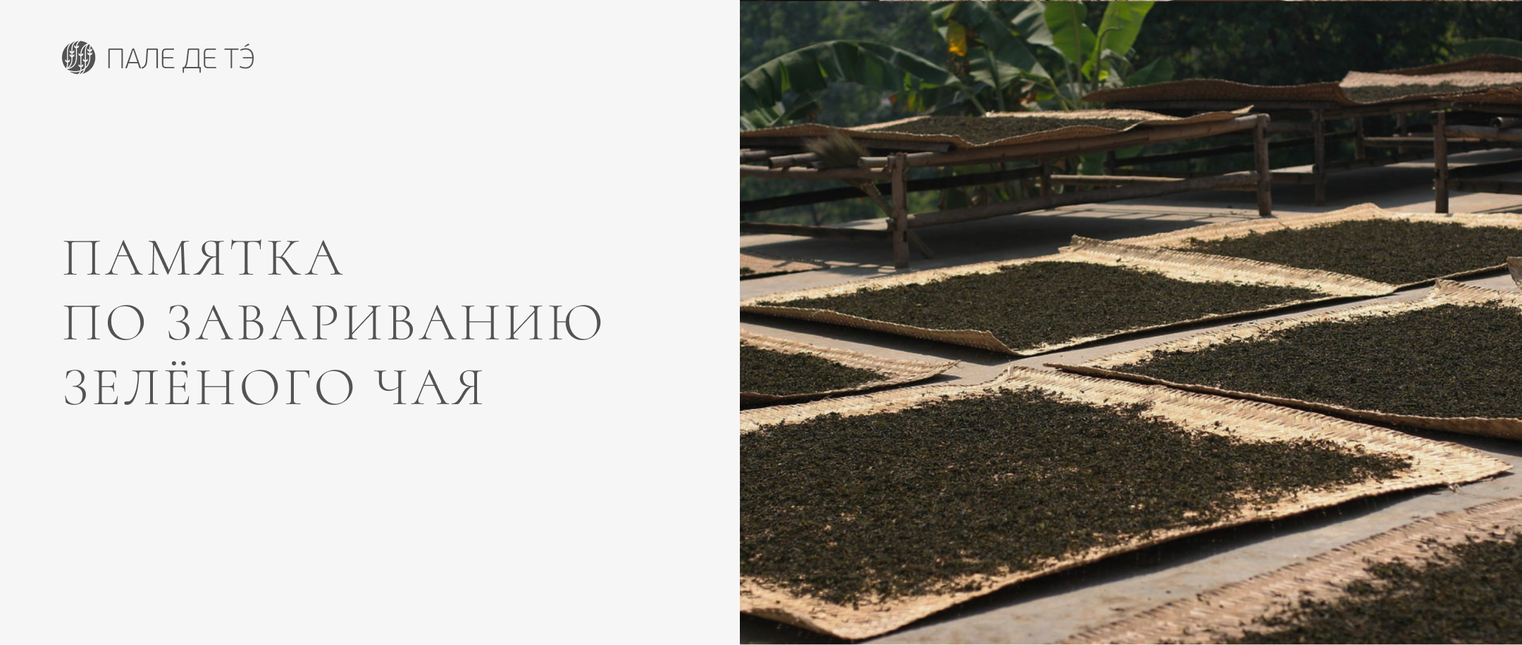 Памятка по завариванию зелёного чая