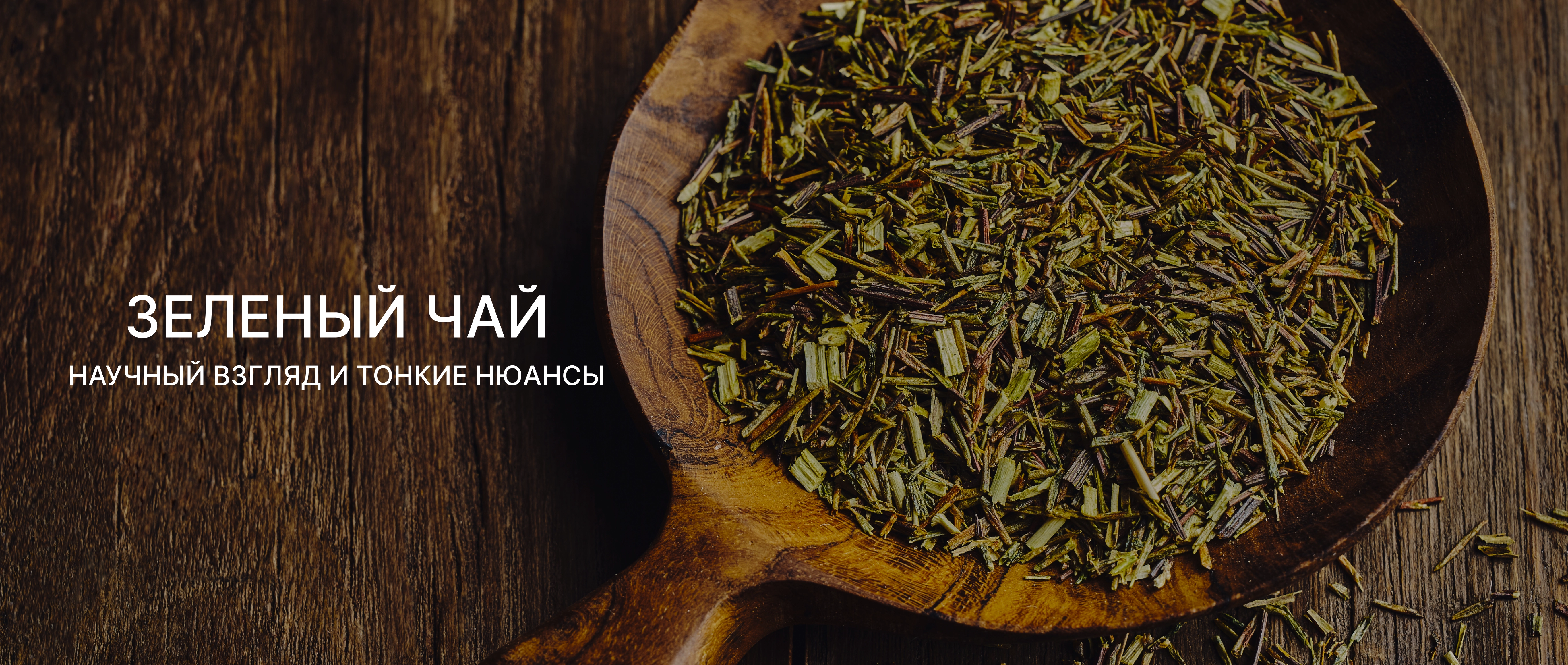 Зеленый чай: научный взгляд и тонкие нюансы.