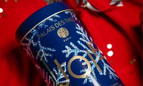 Зелёный чай «Зимняя радость Био» — волшебство зимы в чашке от Palais des Thés!